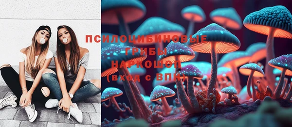 крисы Дегтярск