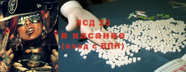 сатива Лабытнанги