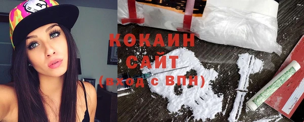 сатива Лагань