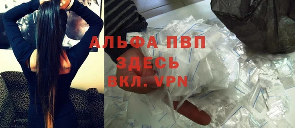крисы Дегтярск