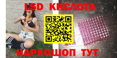 гидропоника Пенза