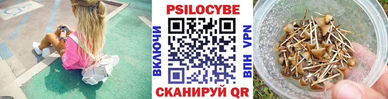 Псилоцибиновые грибы Cubensis  OMG   Малгобек 